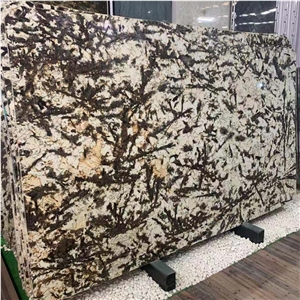 Good Price Golden Granite Slab for Countertop