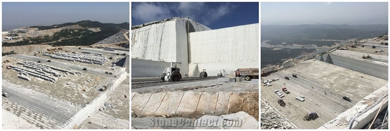 G603 Granite ,Padang Light Granite,Sesame White