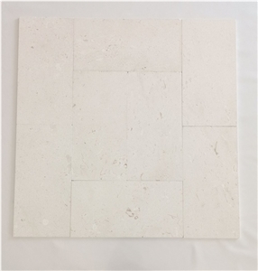 Pearl Beige Shell Stone Honed Tile