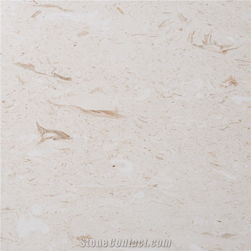 Pearl Beige Shellstone Slabs and Tiles