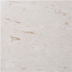 Pearl Beige Shellstone Slabs and Tiles
