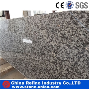 G439 Grey Granite Slabs,China Bianco Sardo Slabs