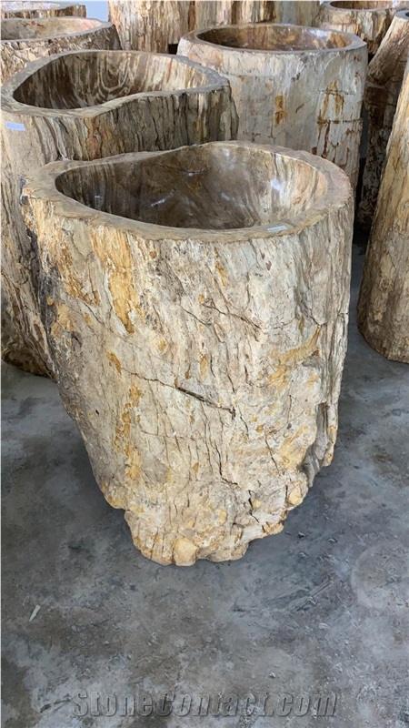 Fossil Petrified Wood Stone Pedestal Basin Natural
