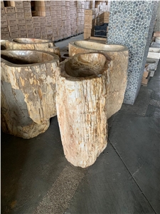 Fossil Petrified Wood Stone Pedestal Basin Natural