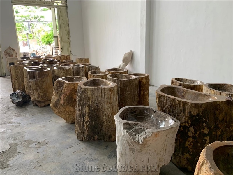 Fossil Petrified Wood Stone Pedestal Basin Natural