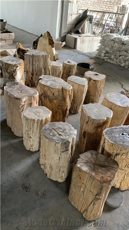 Fossil Petrified Wood Stone Pedestal Basin Natural