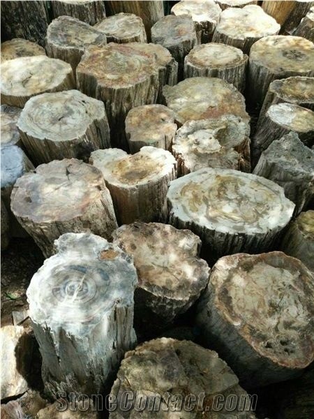 Petrified Wood Blocks