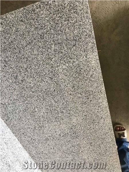 New G654 Granite Nero Impala Chinadark Grey