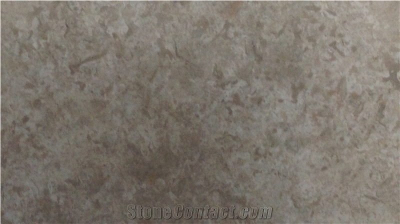 Katrena Marble Slabs & Tiles, Catharina Marble Polished Slabs
