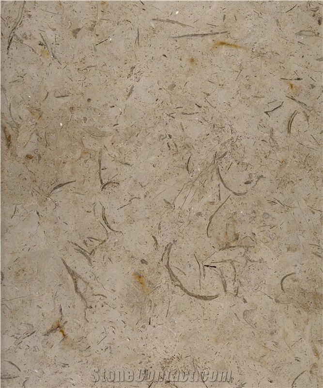 Katrena Marble Slabs & Tiles, Catharina Marble Polished Slabs