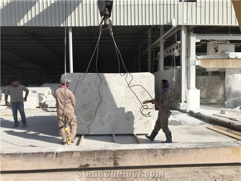 Snow Pearl Marble Slabs