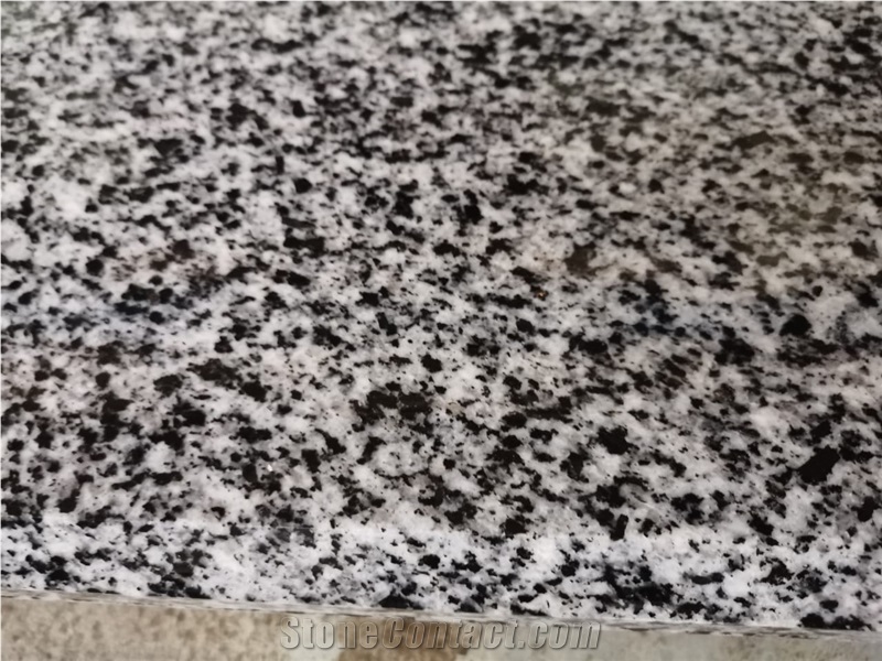 Grey Owl Granite Slabs & Tiles