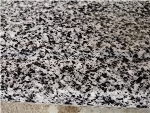 Grey Owl Granite Slabs & Tiles