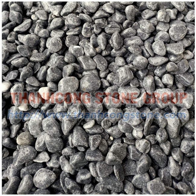 Silver Grey Vietnam Bluestone Pebble Stone