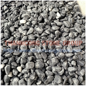 Silver Grey Vietnam Bluestone Pebble Stone