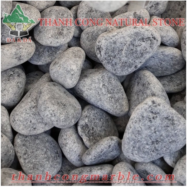 Silver Grey Vietnam Bluestone Pebble Stone