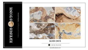 Silver Onyx Colors