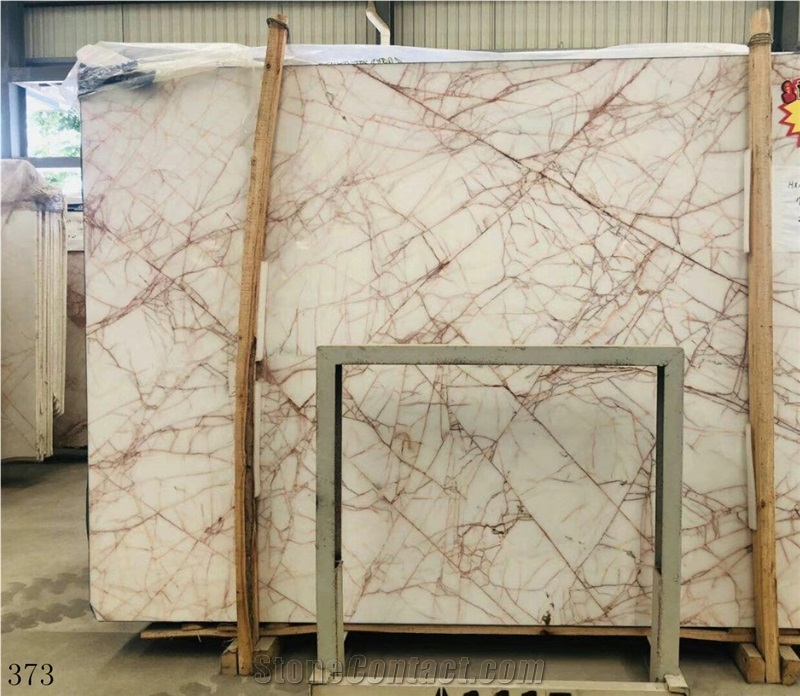 Turkey Marmara Dolomite Golde Spider White Slab
