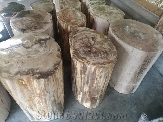 Petrified Wood Stool