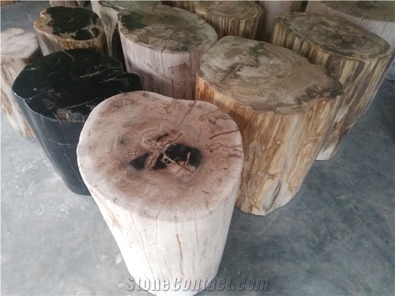 Petrified Wood Stool