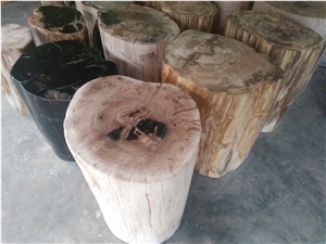 Petrified Wood Stool