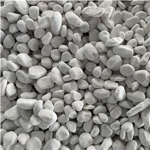 Decoration Stone Snow White Pebble Stone Vietnam