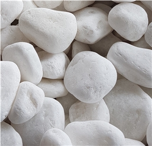 Hot Sales White Natural Garden Pebble Stone