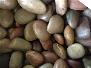 Mixed Pebble Stone River Stone Walkway Pebbles