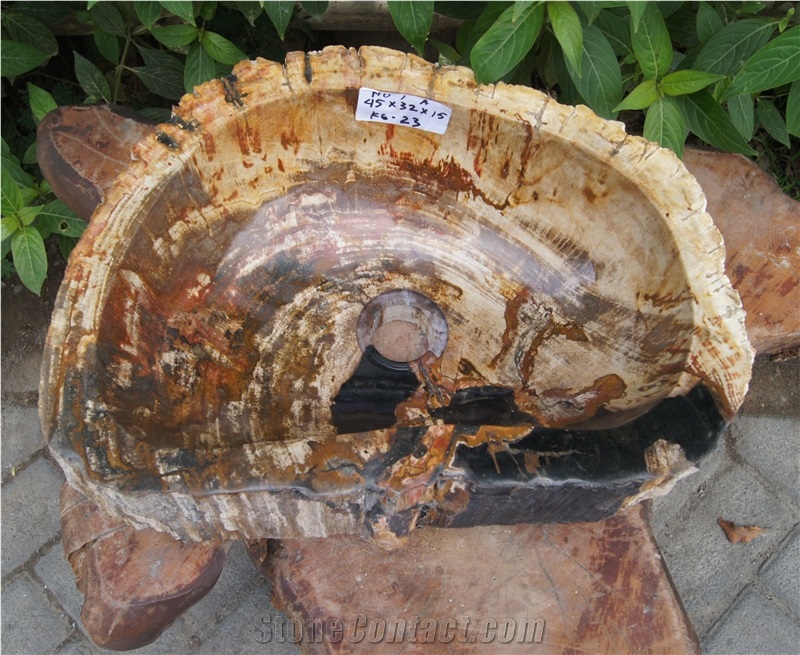Petrified Wood Sink from Fossil Wood