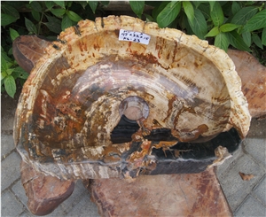 Petrified Wood Sink from Fossil Wood