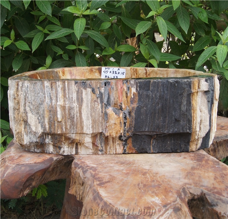 Petrified Wood Sink from Fossil Wood