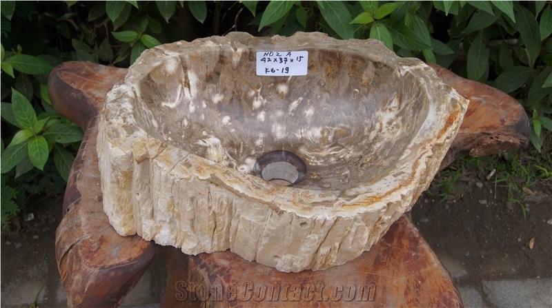 Petrified Wood Sink from Fossil Wood