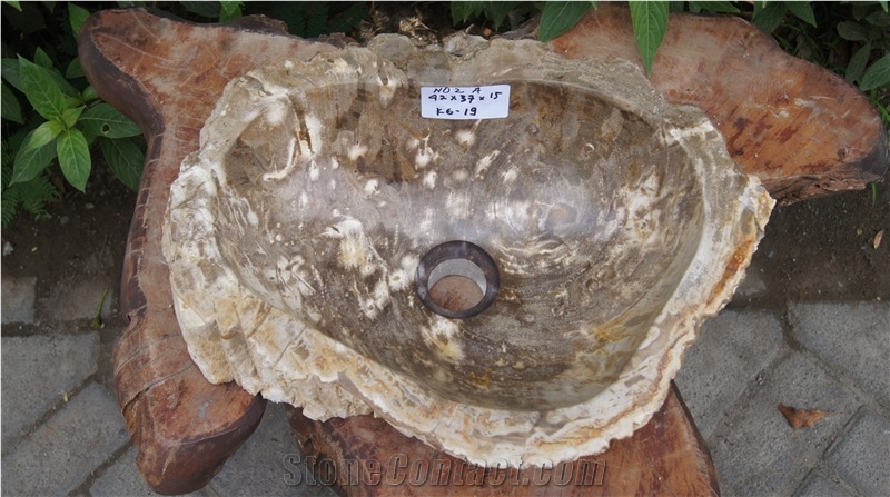 Petrified Wood Sink from Fossil Wood