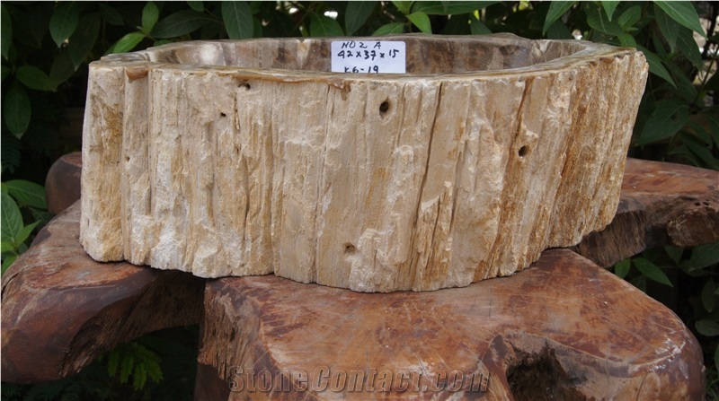 Petrified Wood Sink from Fossil Wood