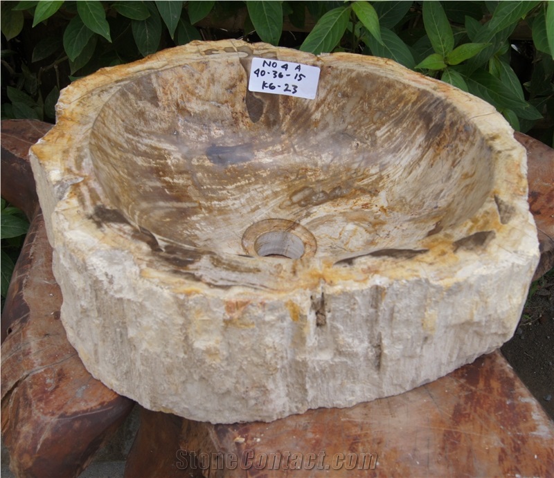 Petrified Wood Sink from Fossil Wood