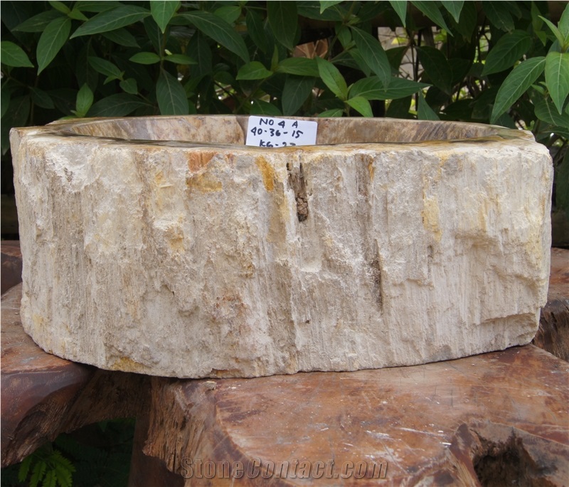 Petrified Wood Sink from Fossil Wood