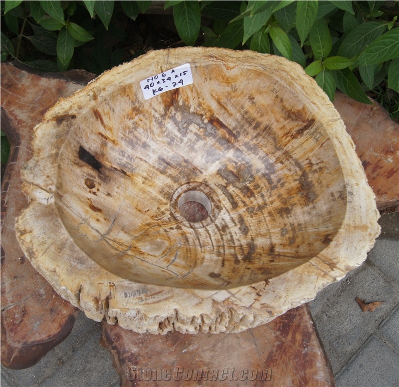 Petrified Wood Sink from Fossil Woods