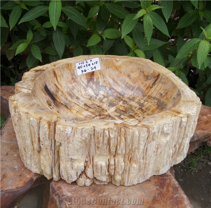 Petrified Wood Sink from Fossil Woods