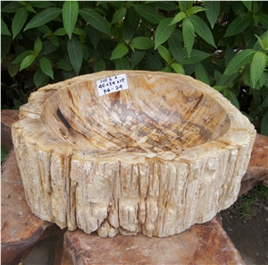Petrified Wood Sink from Fossil Woods