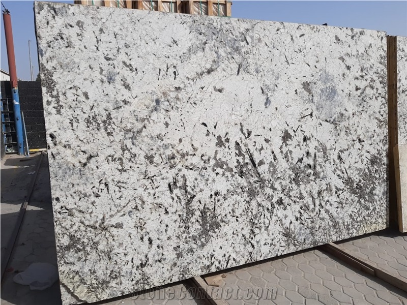 Alaska White Granite Slabs-Indian Origin