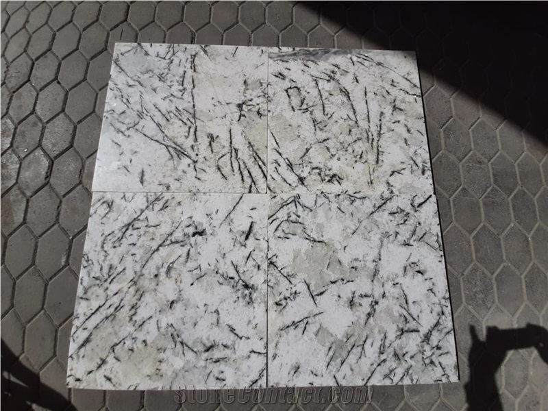 Alaska White Granite Slabs-Indian Origin