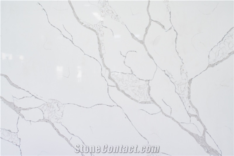 Calacatta Tree & Calacatta Laza Quartz