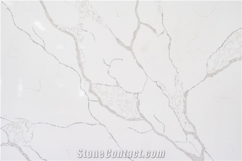 Calacatta Tree & Calacatta Laza Quartz