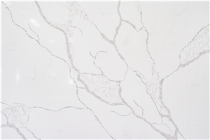 Calacatta Tree & Calacatta Laza Quartz