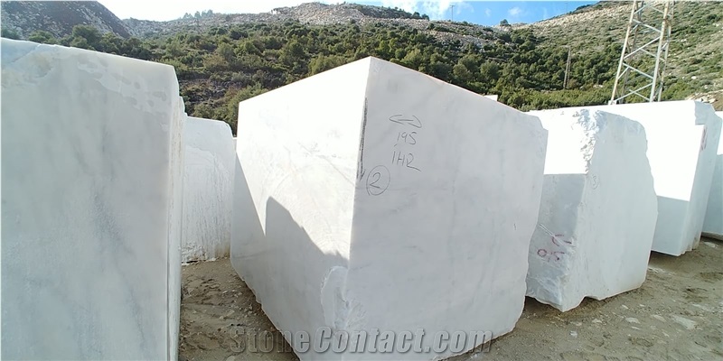 White Cosmos Marble Blocks