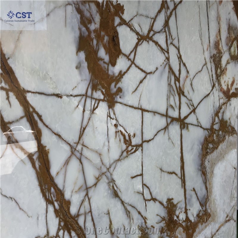 Autumn Onyx Slabs
