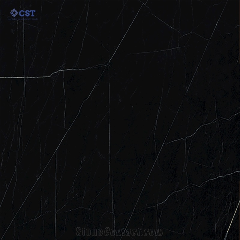 Black Lion Marble