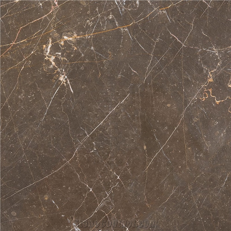 Olive Maroon Marble Slabs Tiles