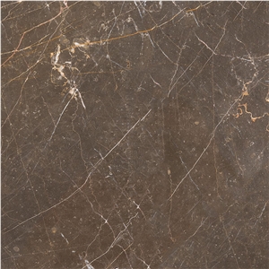 Olive Maroon Marble Slabs Tiles