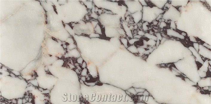 Calacatta Viola Marble Tiles & Slabs